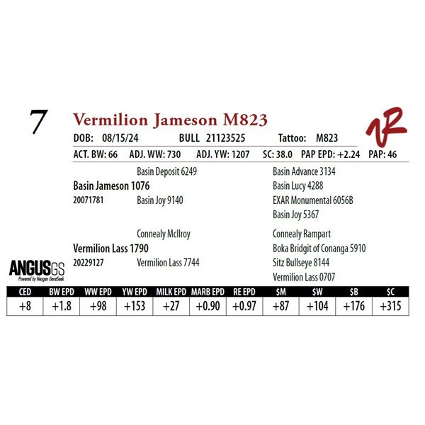 VERMILION JAMESON M823