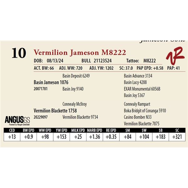 VERMILION JAMESON M8222