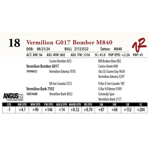 VERMILION G017 BOMBER M840