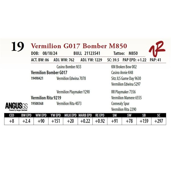 VERMILION G017 BOMBER M850