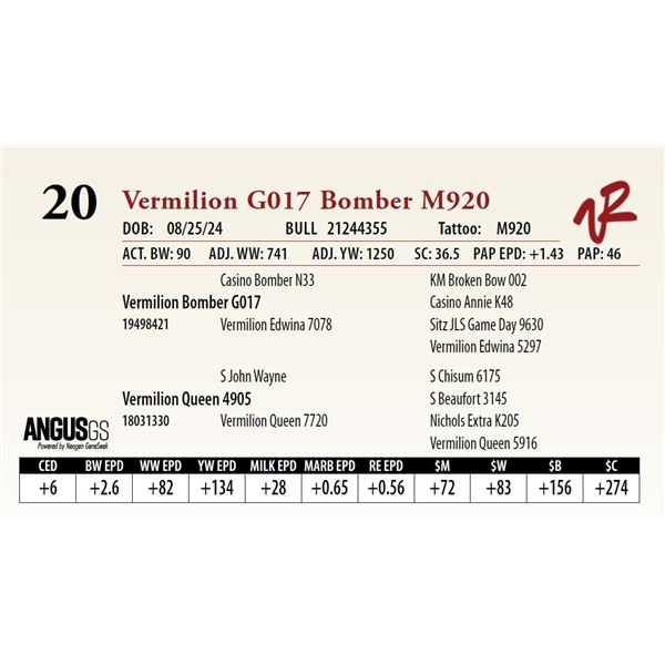 VERMILION G017 BOMBER M920