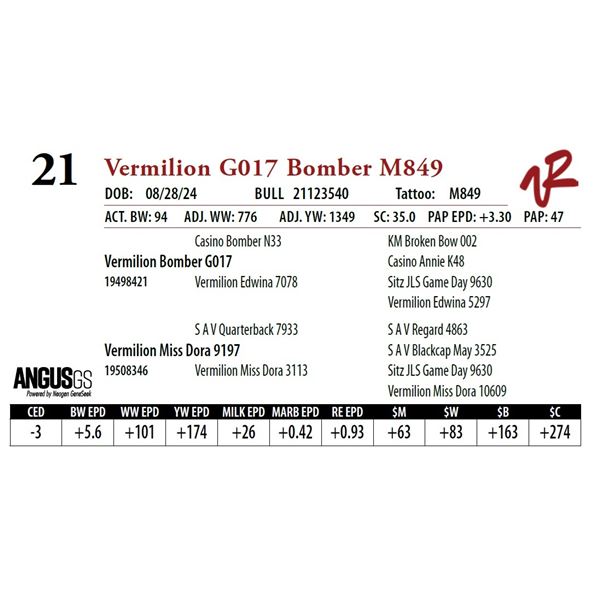 VERMILION G017 BOMBER M849