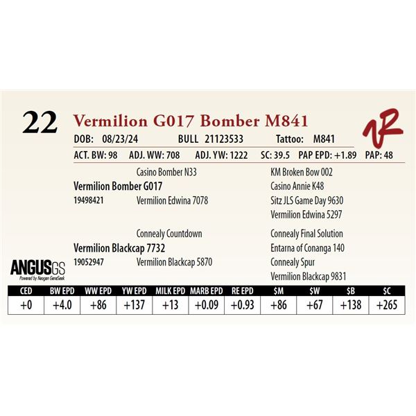 VERMILION G017 BOMBER M841