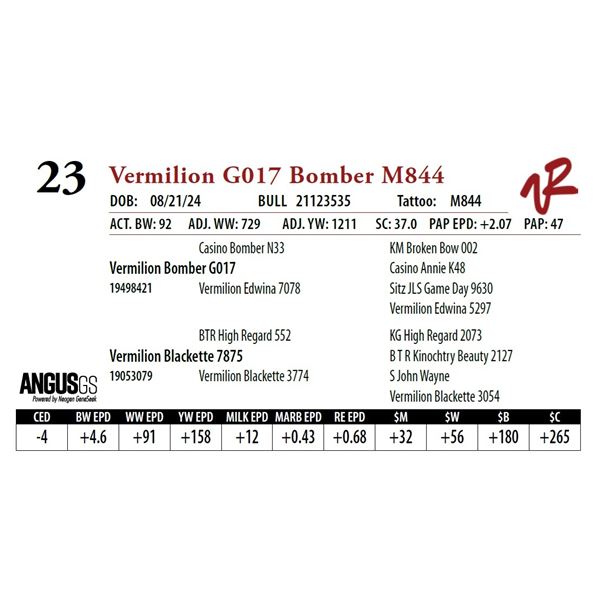 VERMILION G017 BOMBER M844