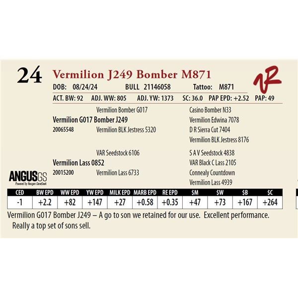 VERMILION J249 BOMBER M871