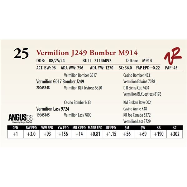 VERMILION J249 BOMBER M914