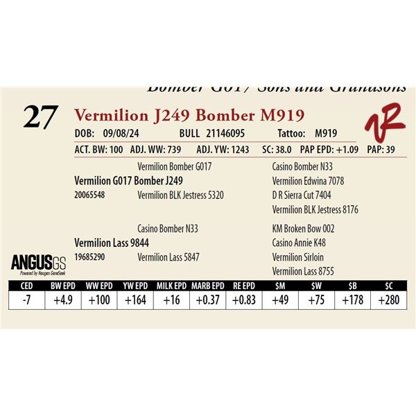 VERMILION J249 BOMBER M919