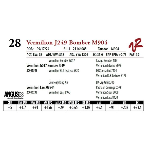 VERMILION J249 BOMBER M904