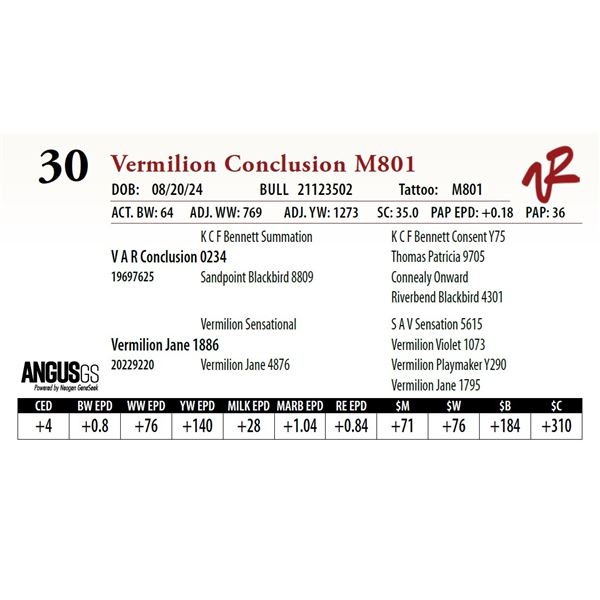 VERMILION CONCLUSION M801