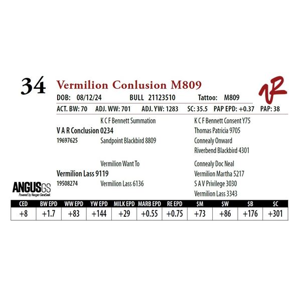 VERMILION CONCLUSION M809