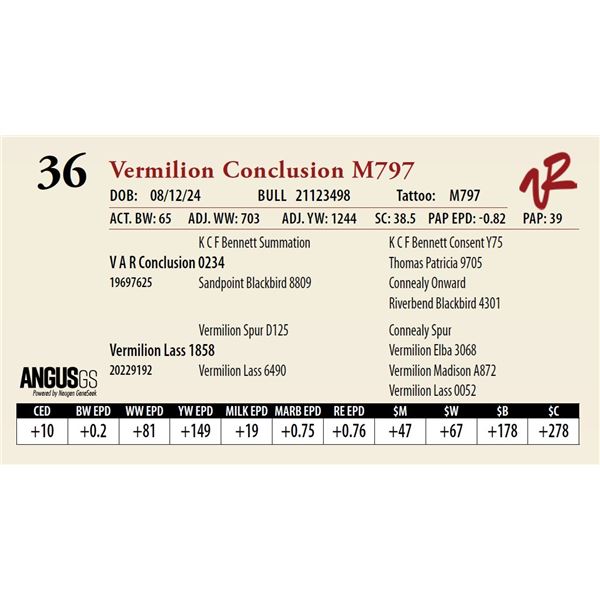 VERMILION CONCLUSION M797
