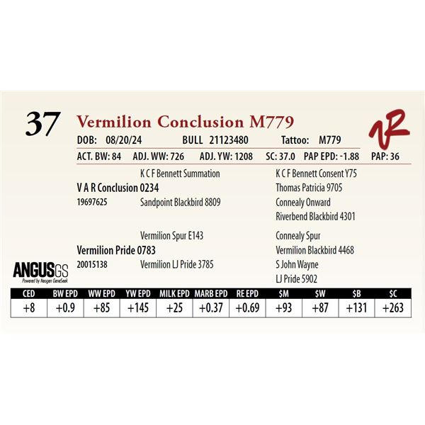 VERMILION CONCLUSION M779
