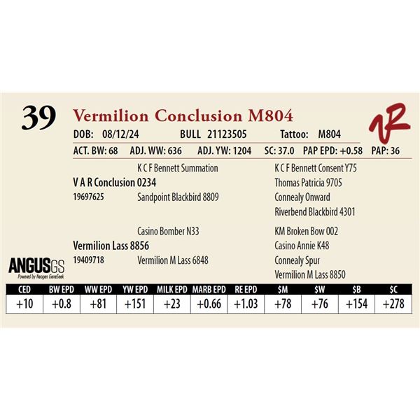 VERMILION CONCLUSION M804