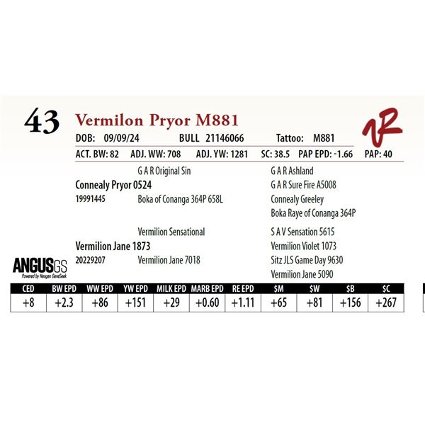 VERMILION PRYOR M881