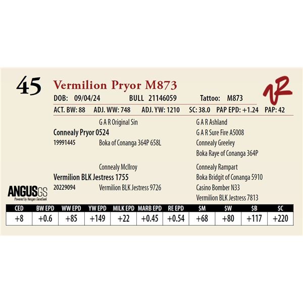 VERMILION PRYOR M873