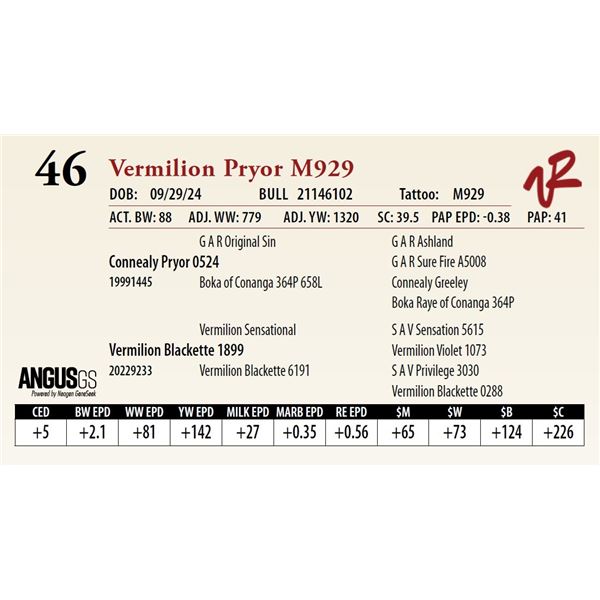 VERMILION PRYOR M929