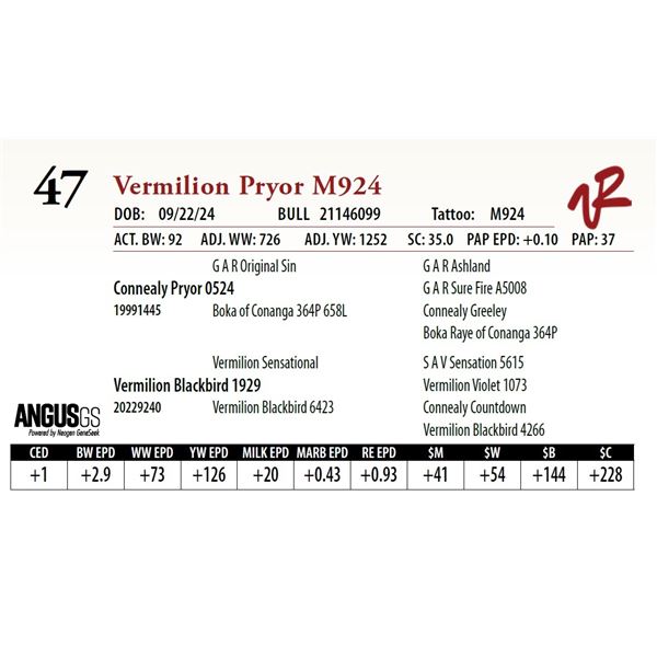 VERMILION PRYOR M924