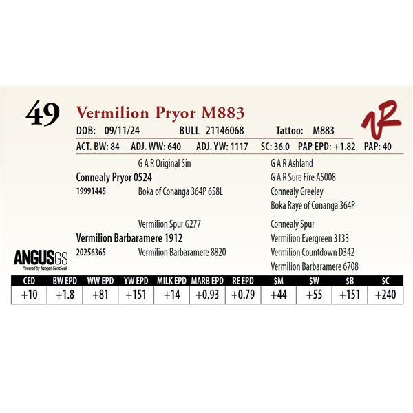 VERMILION PRYOR M883