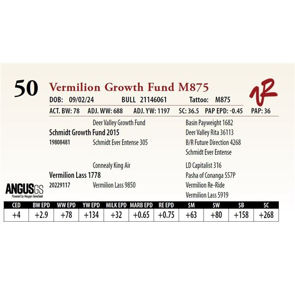VERMILION GROWTH FUND M875