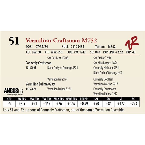VERMILION CRAFTSMAN M752