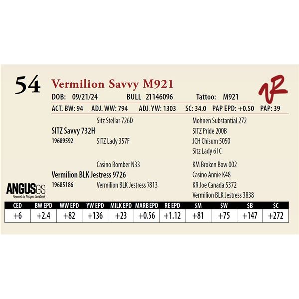 VERMILION SAVVY M921