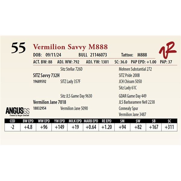 VERMILION SAVVY M888