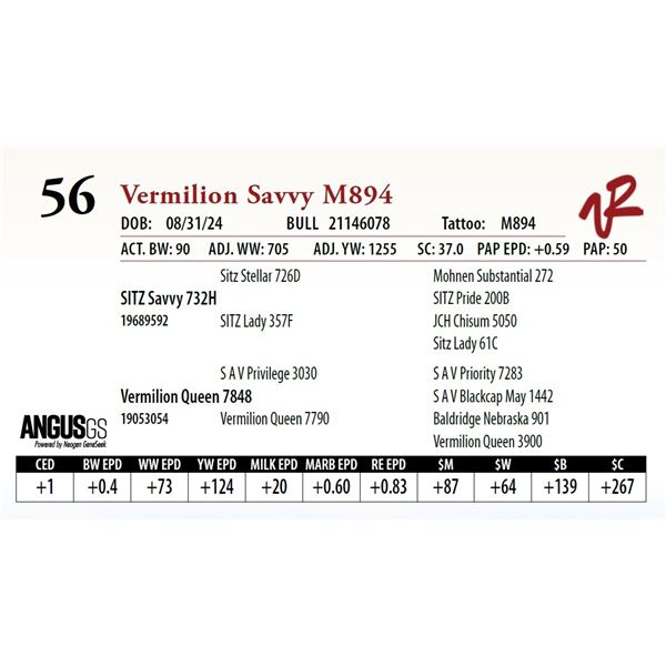 VERMILION SAVVY M894