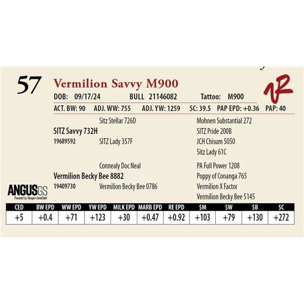 VERMILION SAVVY M900