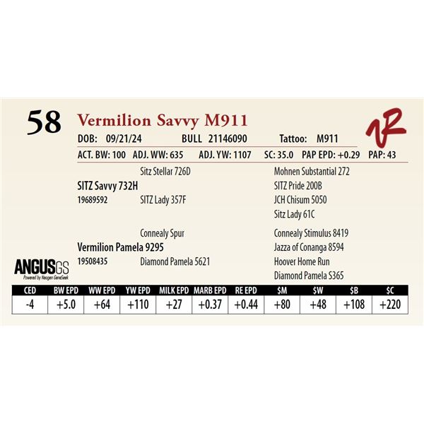 VERMILION SAVVY M911