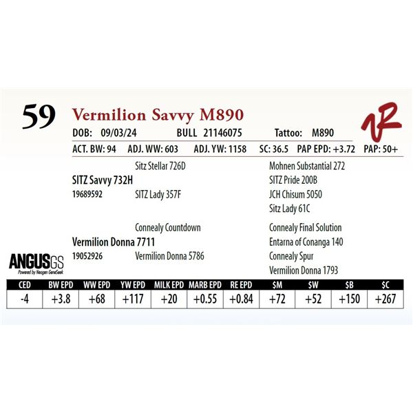 VERMILION SAVVY M890