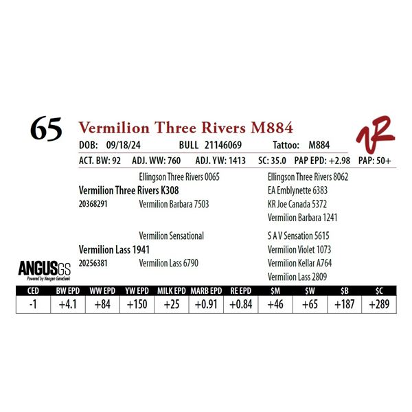 VERMILION THREE RIVERS M884
