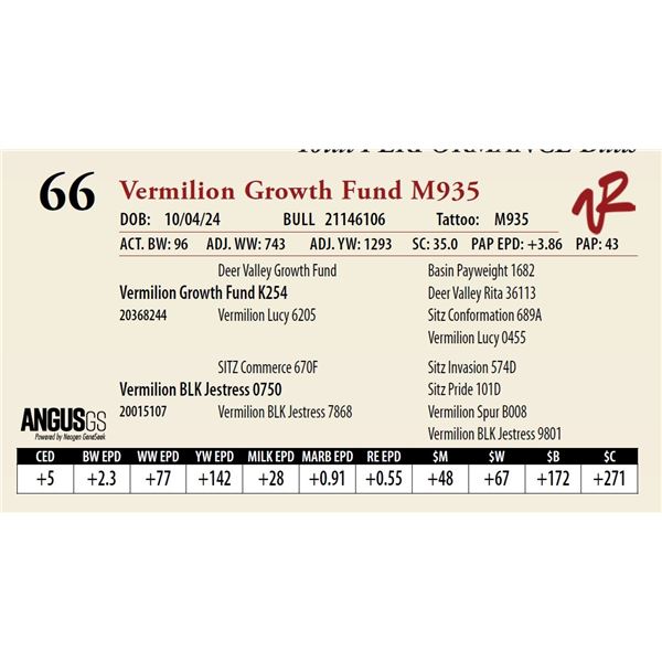 VERMILION GROWTH FUND M935