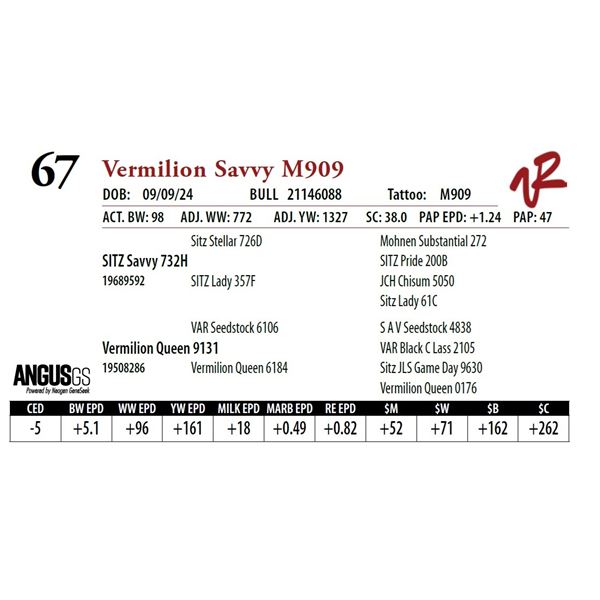 VERMILION SAVVY M909