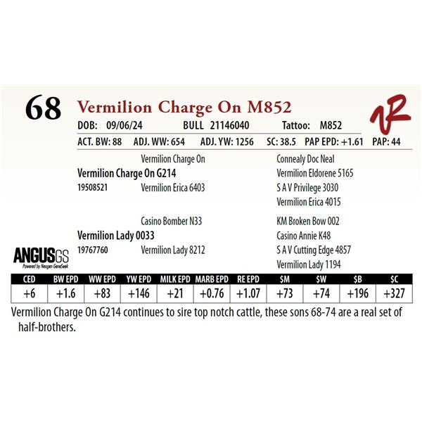 VERMILION CHARGE ON M852