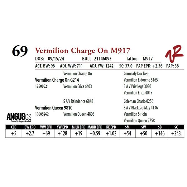 VERMILION CHARGE ON M917
