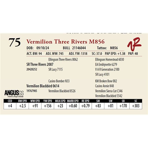 VERMILION THREE RIVERS M856