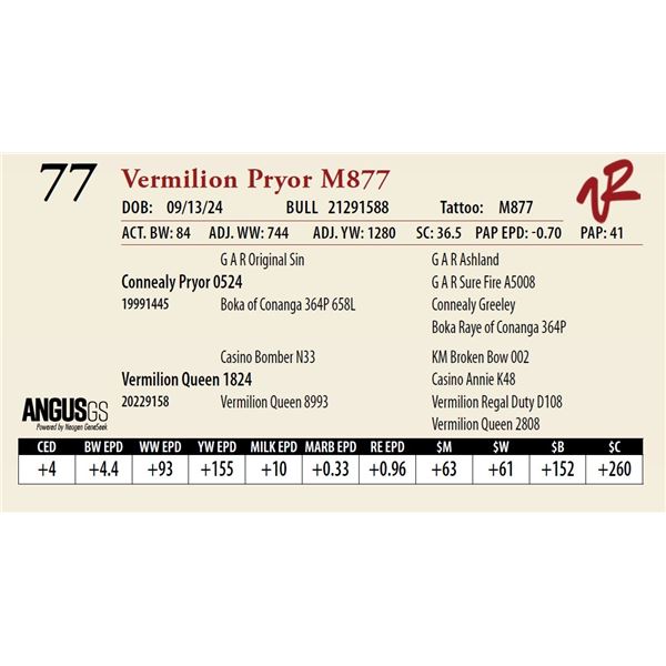 VERMILION PRYOR M877