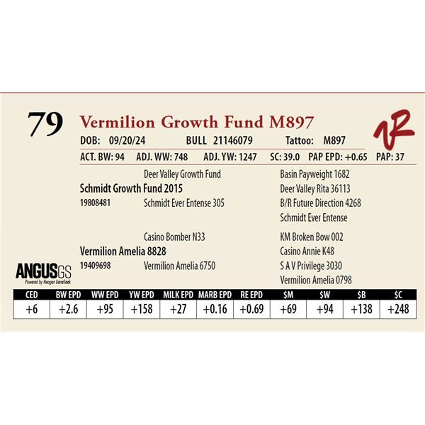 VERMILION GROWTH FUND M897