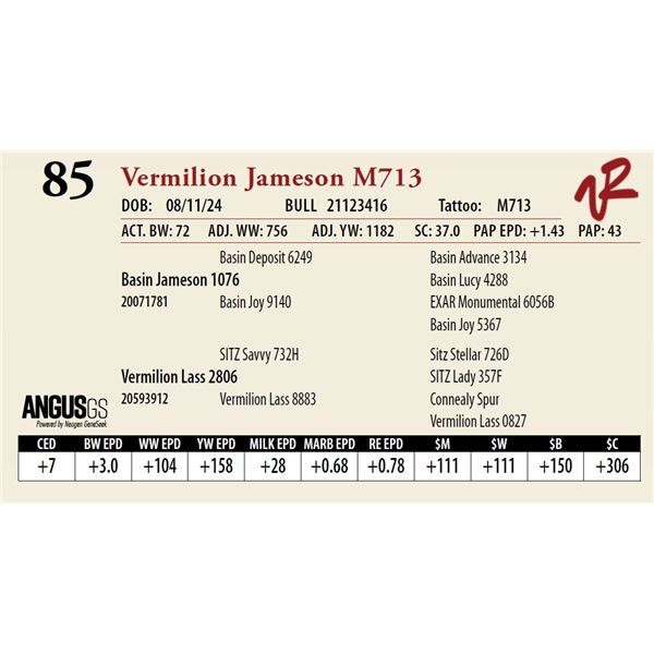 VERMILION JAMESON M713