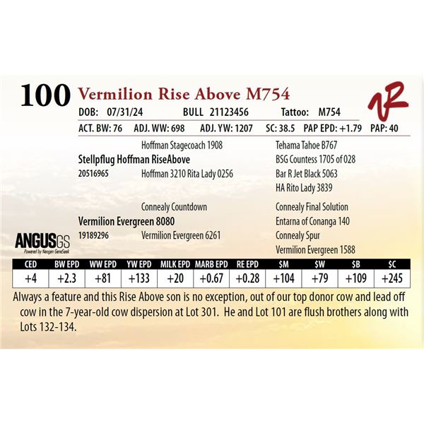 VERMILION RISE ABOVE M754