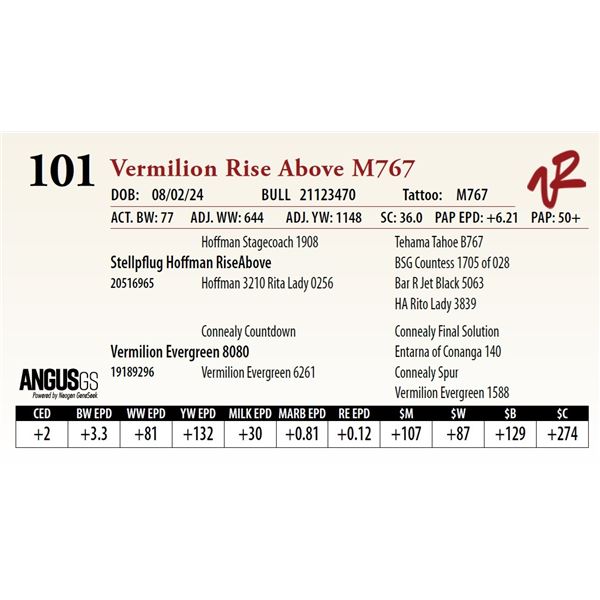 VERMILION RISE ABOVE M767