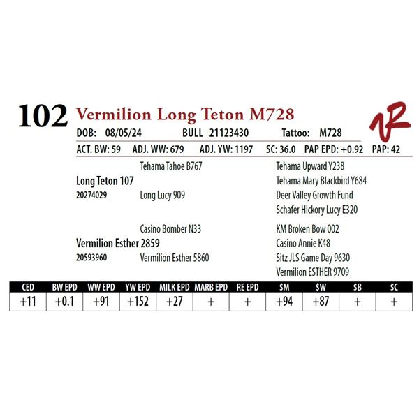 VERMILION LONG TETON M728