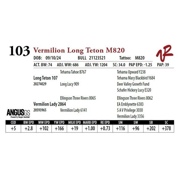 VERMILION LONG TETON M820
