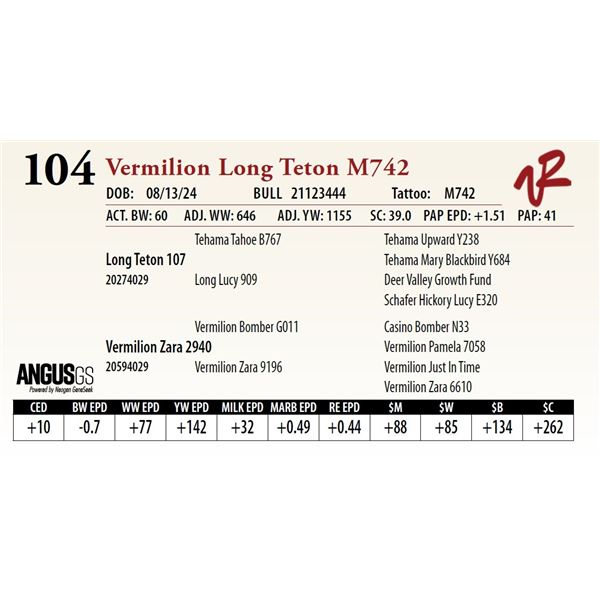 VERMILION LONG TETON M742