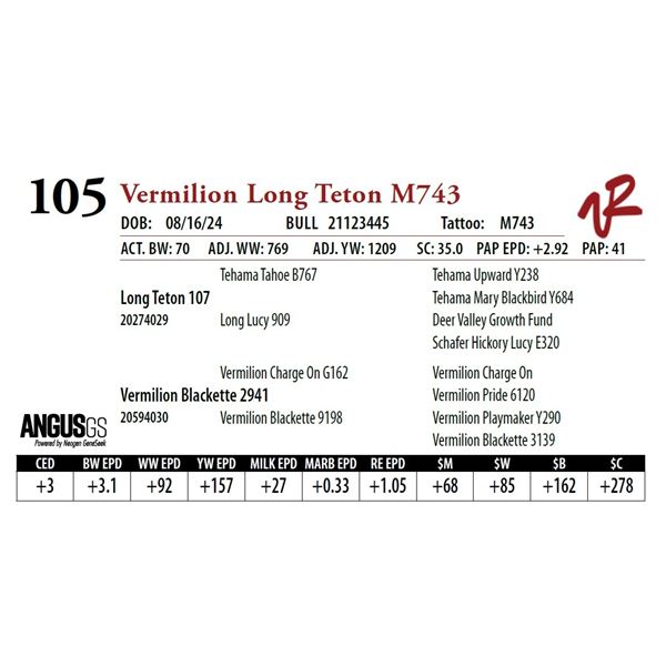 VERMILION LONG TETON M743
