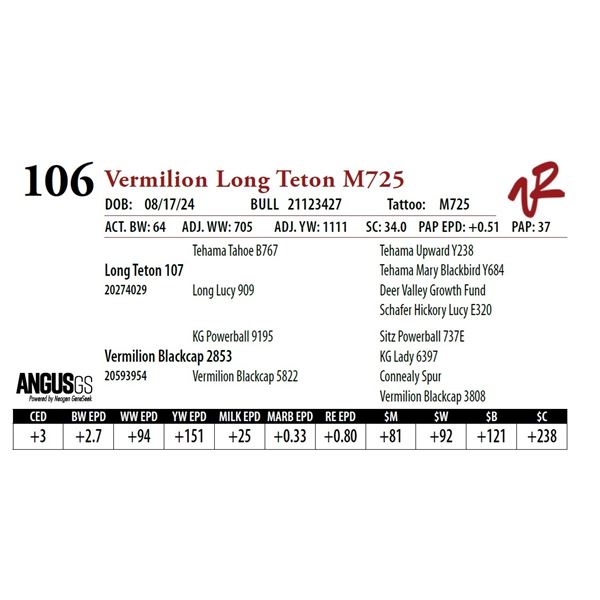 VERMILION LONG TETON M725