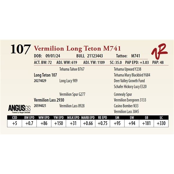 VERMILION LONG TETON M741