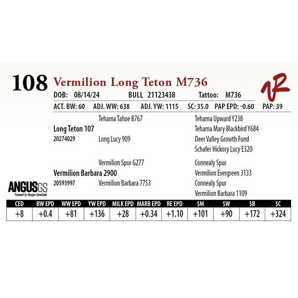 VERMILION LONG TETON M736