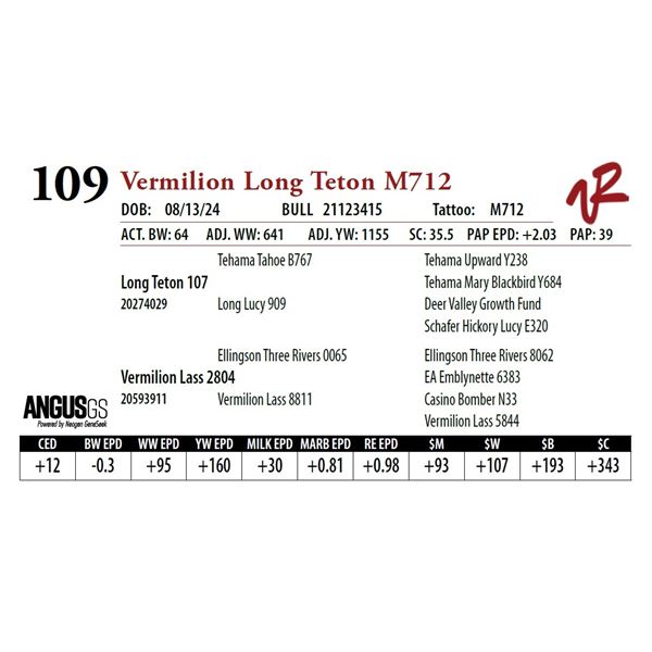 VERMILION LONG TETON M712