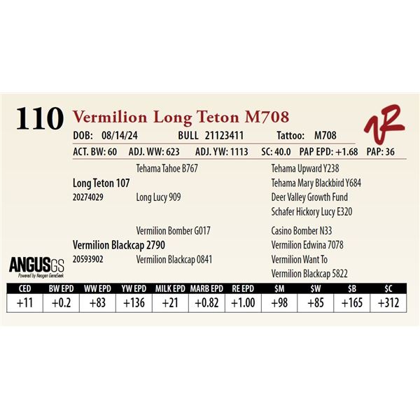 VERMILION LONG TETON M708
